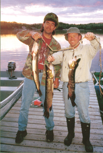 Greg Scott and John Jr. show three Northern caught on Stony Lake.  The Northern Pike have a double row of Y bones that require a special fillet technique.  These fish provided a fine Thursday evening meal for the camp. 