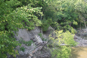 Looking west from the suspension bridge in Foster Park to the disconformity in the river bank. Debris washing out from the destabilized high side of the Saint Mary’s.