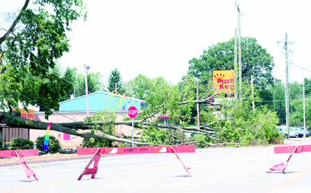 A large downed tree fell through power lines closing Bluffton Road for about 24 hours after the storm.