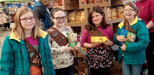 Girl Scout Cookie Sale 2015