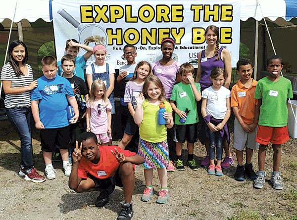Explore The Honey Bee