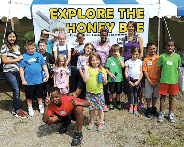 Explore The Honey Bee