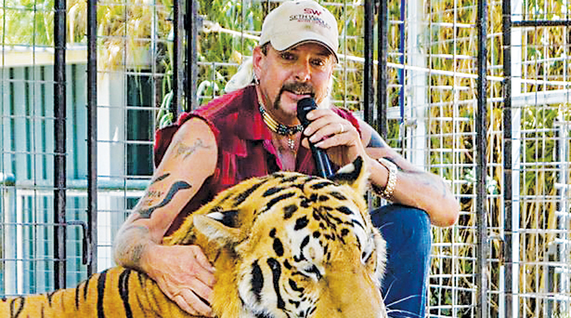 FOUR TIGERS FROM 'TIGER KING' SHOW RESCUED & BROUGHT TO NE INDIANA – The  Waynedale News