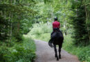 Trot The Trails On A Horse!