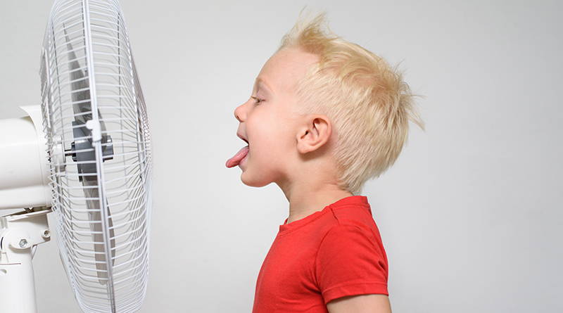 The Fan Myth: Tips To Be Energy Efficient