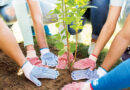 Southwest Allen County Schools Embark On Major Tree Plantings
