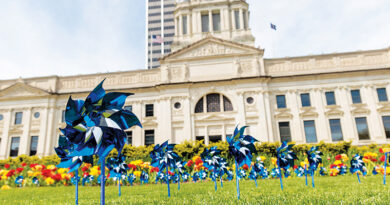 Pinwheel Garden Reflects Hope For Victims Of Child Abuse