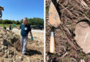 Investigate History During Indiana’s Archaeology Month