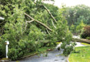 How To Prepare For Severe Weather