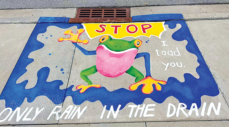 Local Artists Turn Storm Drains Into Lively Public Art