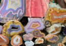 Gem & Mineral Show To Feature ‘Freaky Fossils’ Gem & Mineral Show To Feature ‘Freaky Fossils’
