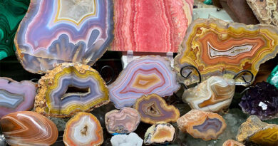 Gem & Mineral Show To Feature ‘Freaky Fossils’