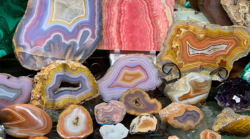 Gem & Mineral Show To Feature 'Freaky Fossils'