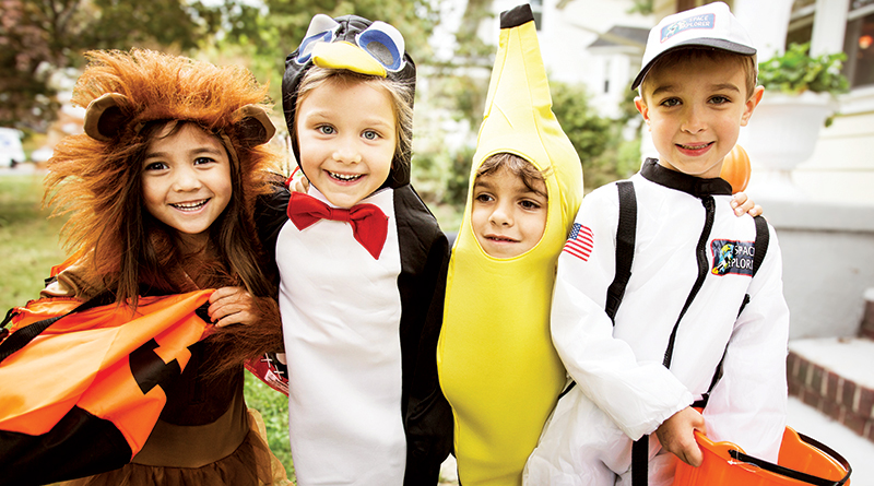 Harvesting Memories & Fall Fun: Voice Of The Township