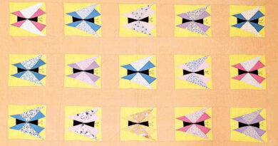 FWMoA To Exhibit Amish& Contemporary Quilts: Around The Frame FWMoA To Exhibit Amish& Contemporary Quilts: Around The Frame