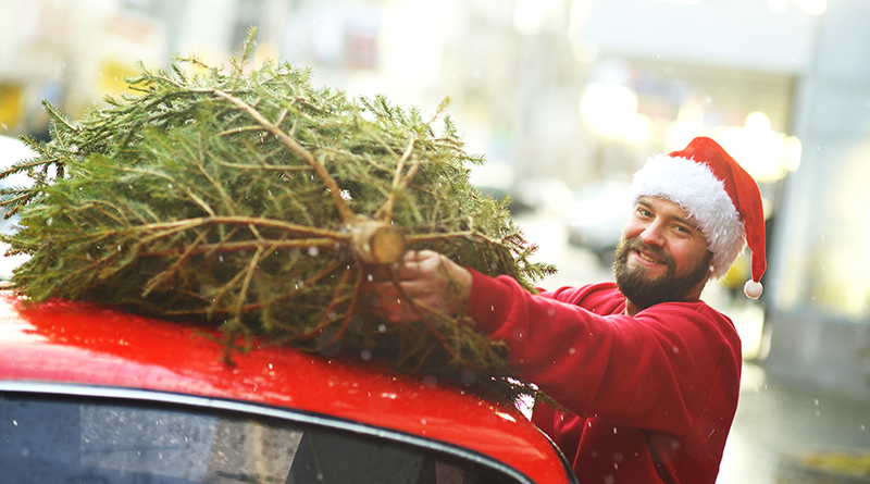 Christmas Tree Pick-Up Fundraiser