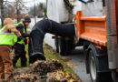 City Leaf Collection Resumes