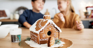 Why Gingerbread & Christmas? : The History of Ordinary Things