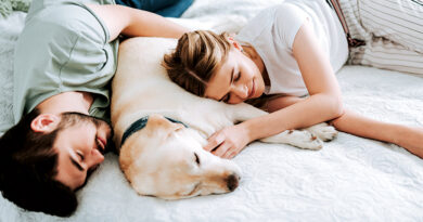 Should You Let Your Pet Into Bed?