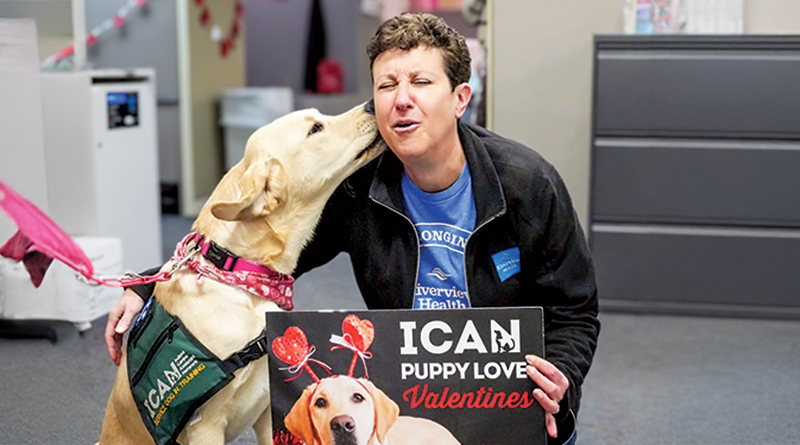 'Puppy Love Valentines' Fundraiser Features Service Dogs In Training