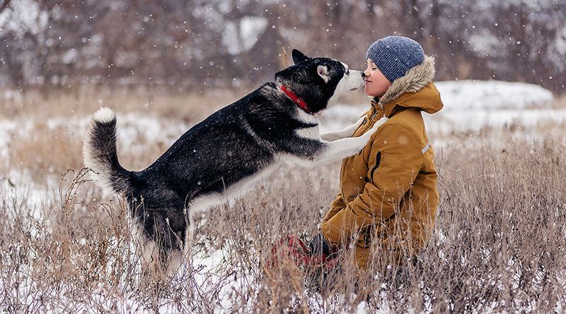 Winter Pet Advisory & Upcoming Classes