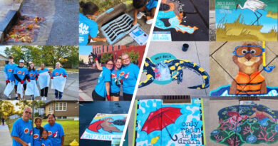 Calling All Artists Who Love Our Rivers To Create Storm Drain Murals