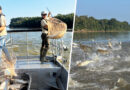 Indiana DNR Tackles Invasive Carp With Harvest Permits