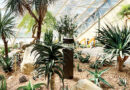 FW Conservatory Desert House Reimagined