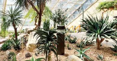 FW Conservatory Desert House Reimagined