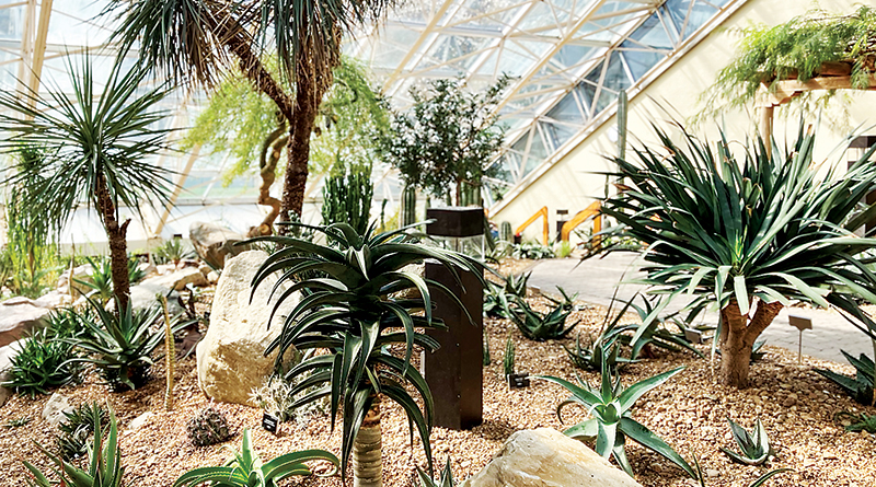 FW Conservatory Desert House Reimagined