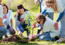 Google Provides Funding For Tree Planting In Southeast Fort Wayne