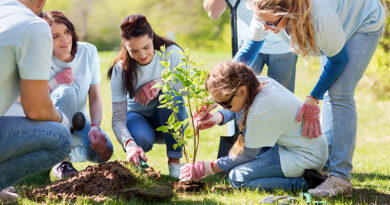 Google Provides Funding For Tree Planting In Southeast Fort Wayne