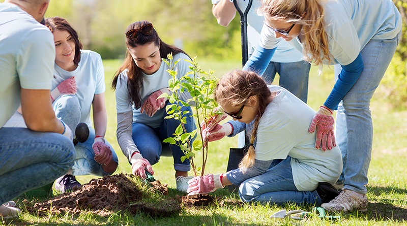 Google Provides Funding For Tree Planting In Southeast Fort Wayne