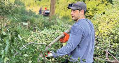 From Seed To Marsh: Volunteers Making A Lasting Difference | Local Volunteer Spotlight
