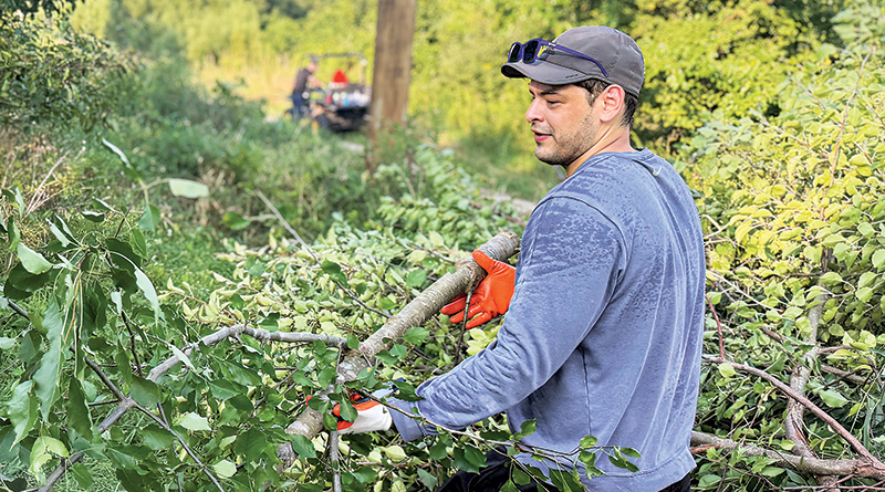 From Seed To Marsh: Volunteers Making A Lasting Difference | Local Volunteer Spotlight