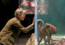 ‘Remarkably Bright Creatures’ Delves Into Animal Intelligence & The Human Heart | At The Movies With Kasey