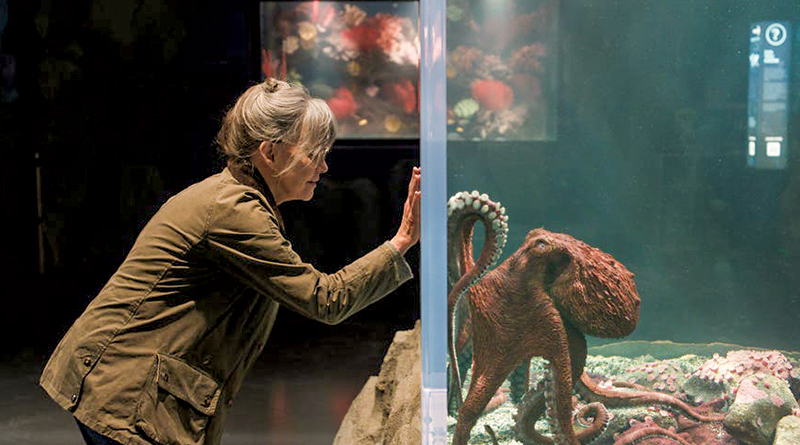 'Remarkably Bright Creatures' Delves Into Animal Intelligence & The Human Heart | At The Movies With Kasey