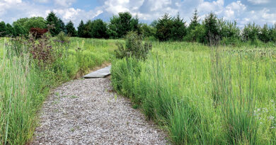 Stillwater Hospice Receives Wildlife Habitat Certification