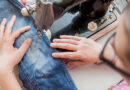 What Is Sewing Machine Day? | The History of Ordinary Things