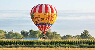 The Month Of Quirky Holidays & Summer Celebrations | Seasons, Stories & Sundays
